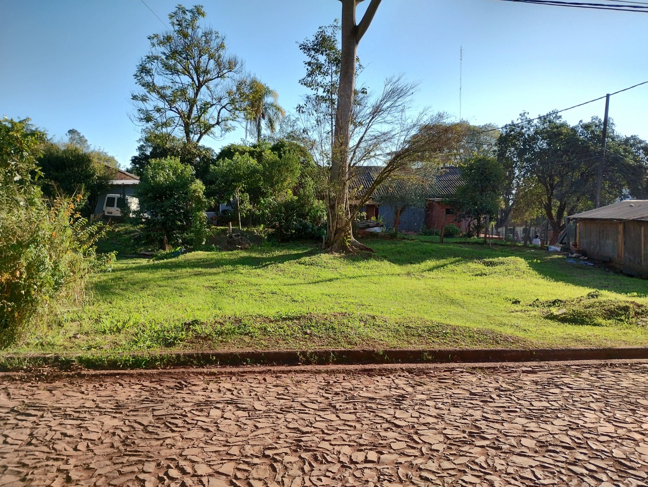 Terreno Sobre Avenida San Martin 