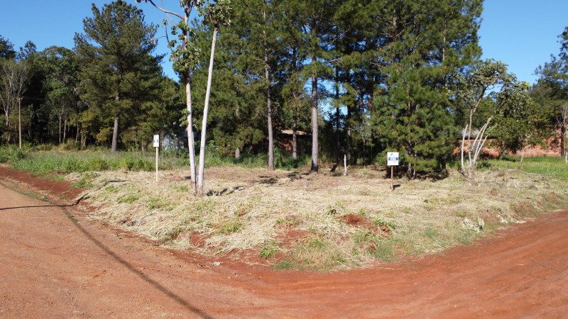 Terreno en el Lago Ziegler 