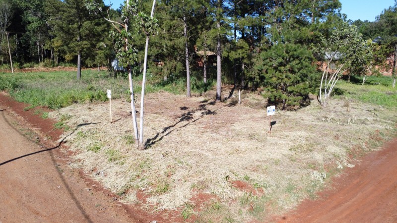 Terreno en el Lago Ziegler 