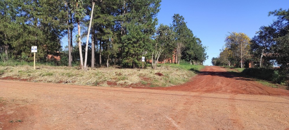 Terreno en el Lago Ziegler 